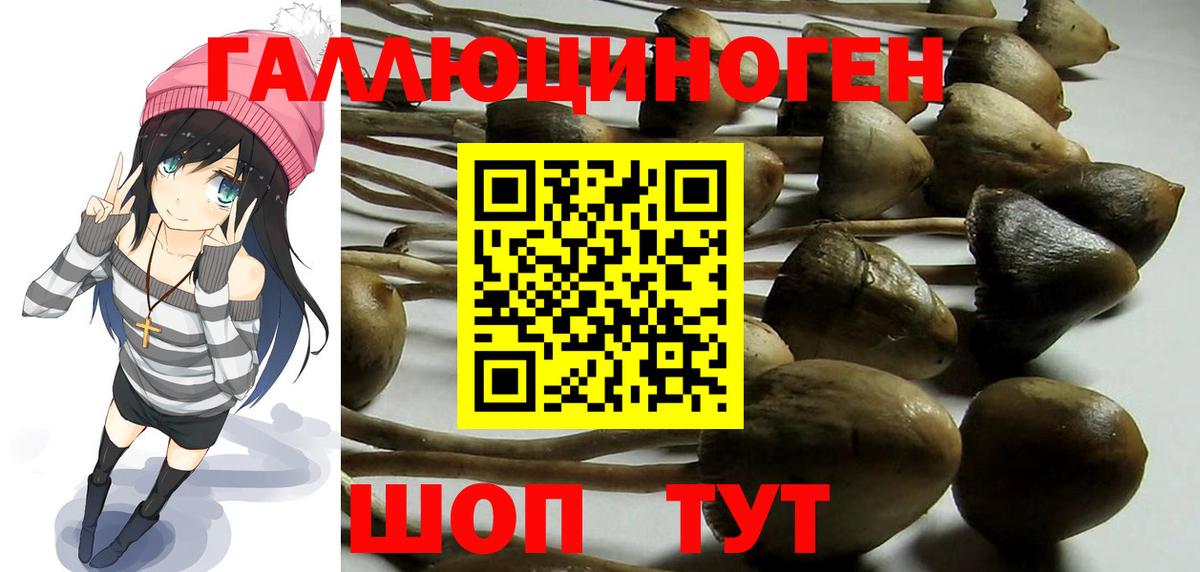 Галлюциногенные грибы Psilocybe  Вход с VPN  Волжский 