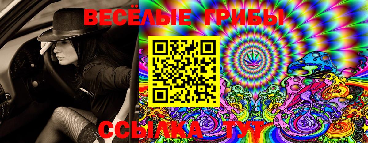 Галлюциногенные грибы Magic Shrooms Волжский